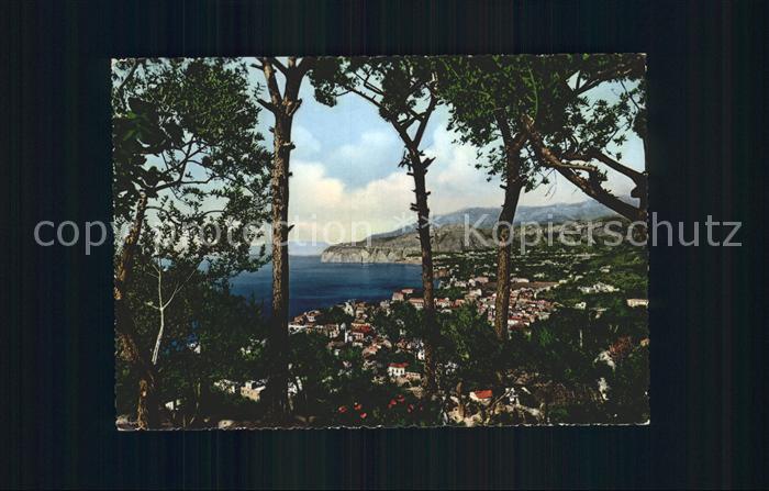 Sorrento Campania Pini