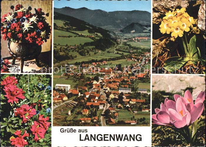 Langenwang Steiermark Blumen