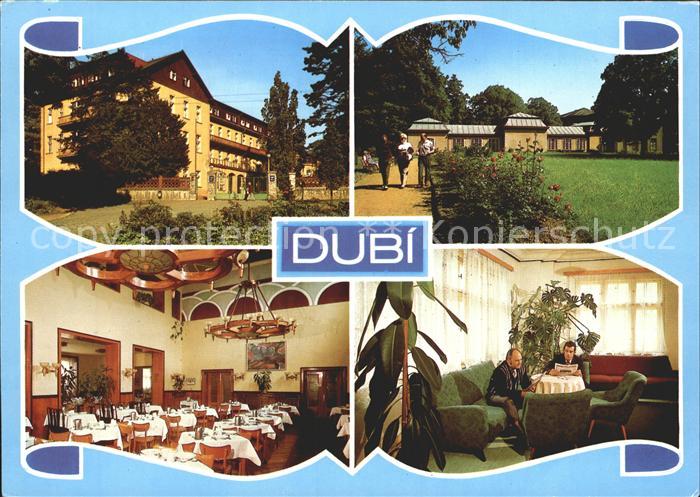 Dubi Lazenske mesto Krusnych hor