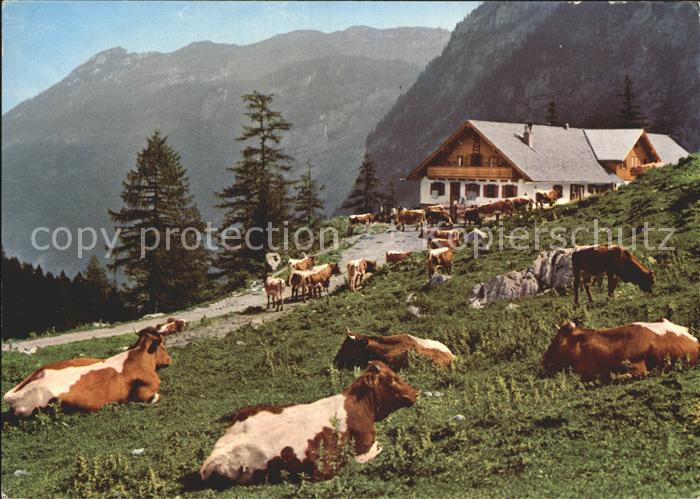 Golling Salzach Jochalm Bluntautal