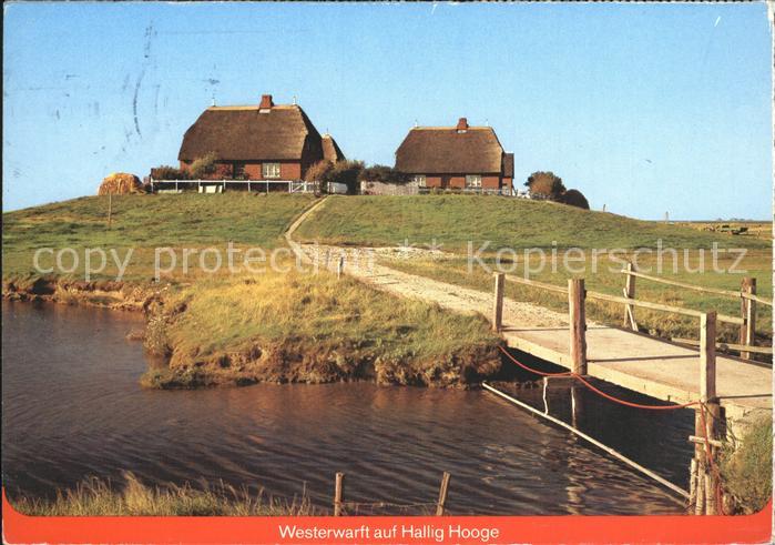 Hallig Hooge Westerwarft