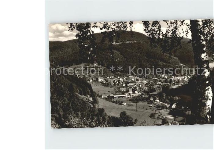 Schenkenzell Panorama