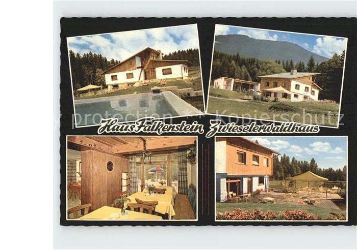 Zwiesel Niederbayern Haus Falkenstein Zwieslerwaldhaus