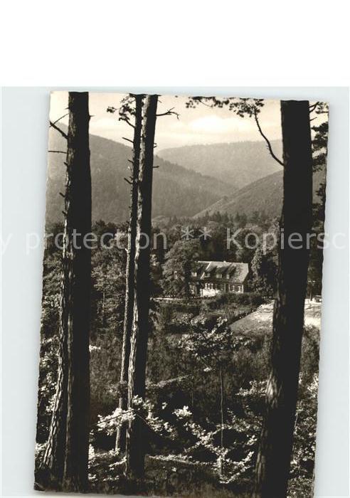 Wachenheim Weinstrasse Forsthaus Rotsteig