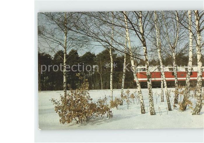 Reichenbach Vogtland Zug