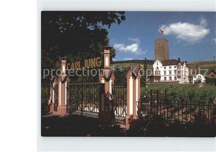 Ruedesheim Rhein Weingut Schloss Boosenburg