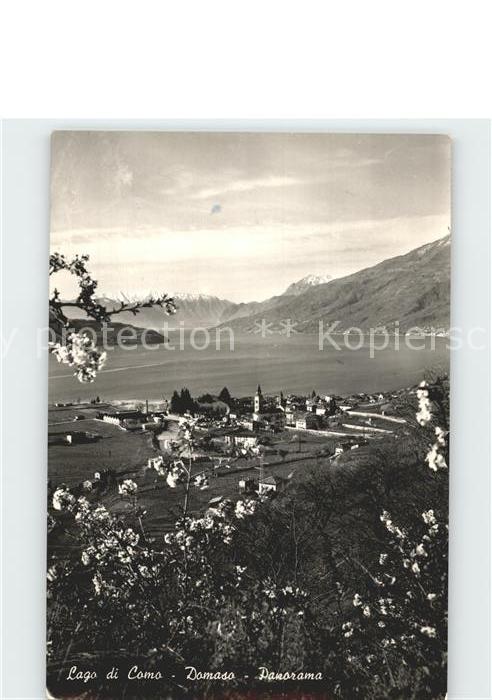 Lago di Como Domaso Panorama