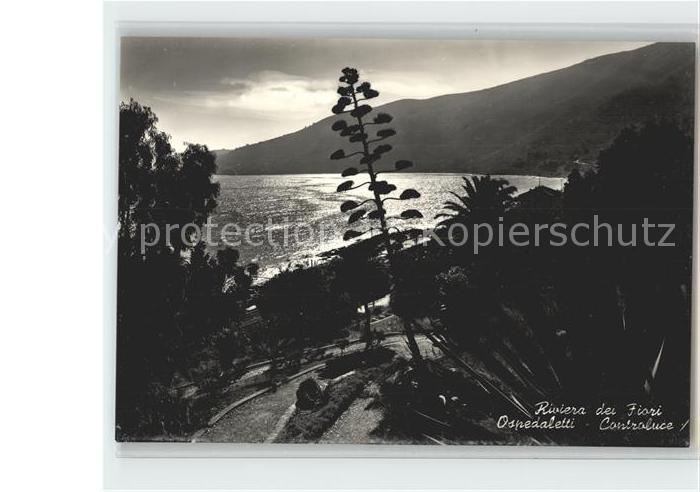 Ospedaletti Blumenriviera