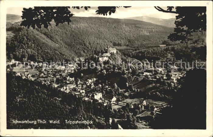 Schwarzburg Thueringer Wald Trippsteinblick