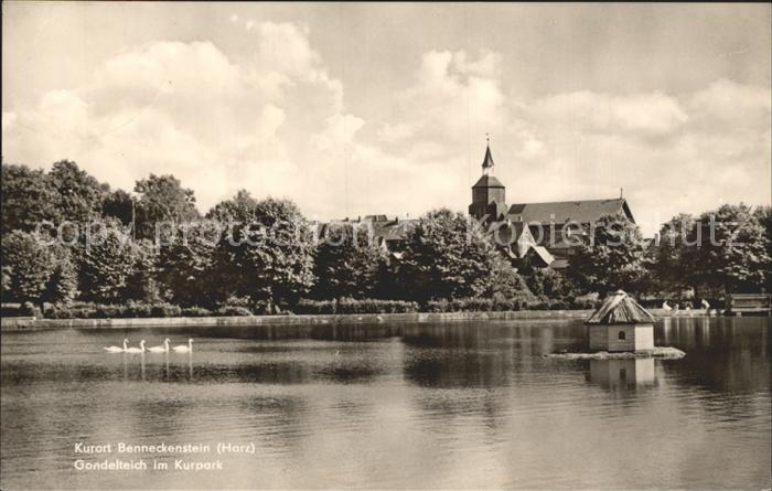 Benneckenstein Gondelteich im Kurpark