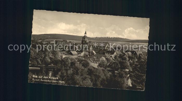 Benneckenstein mit Kurpark