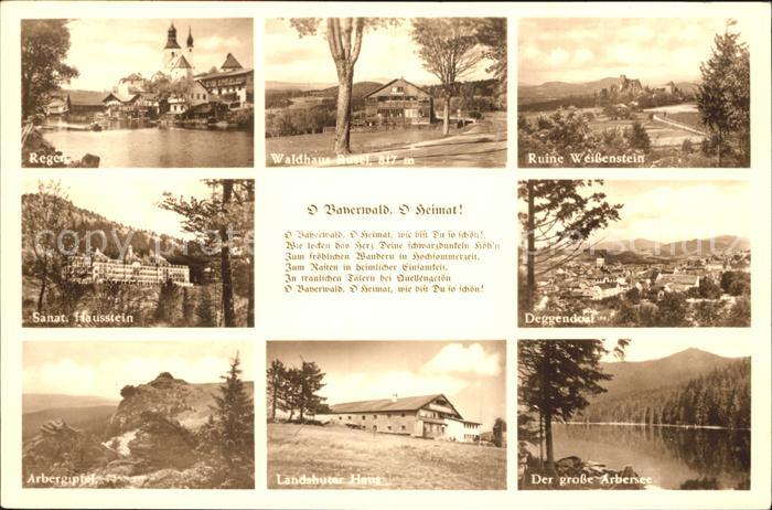 Rusel Waldhaus Ruine-Weissenstein Arbersee