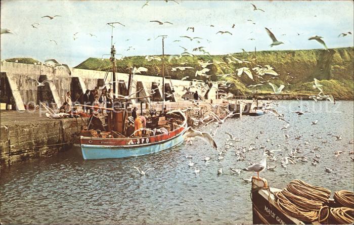 Stonehaven Aberdeenshire Hafen Fischerboot