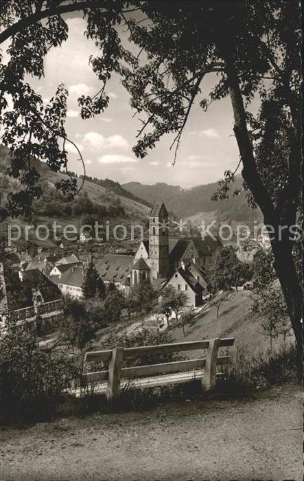 Alpirsbach Kloster und Kurstadt