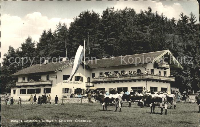 uebersee Chiemsee Ranks Gaestehaus Buchwald