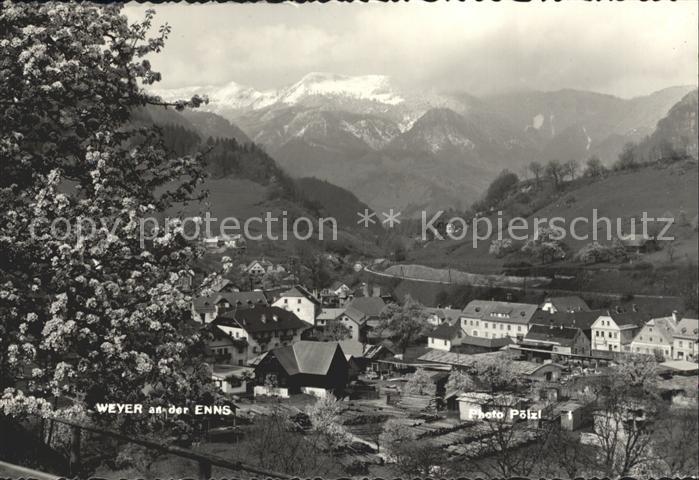 Weyer Enns