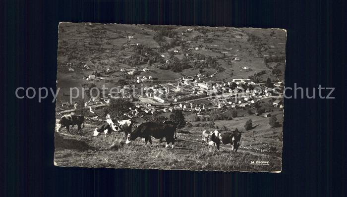 La Bresse mit Kuehen auf der Weide