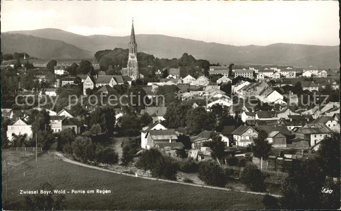 Zwiesel Niederbayern Partie am Regen