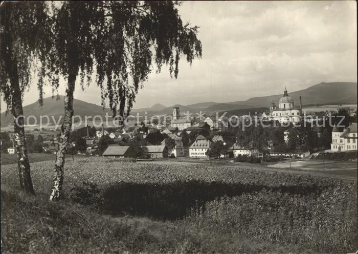 Jablone v Podjestedi