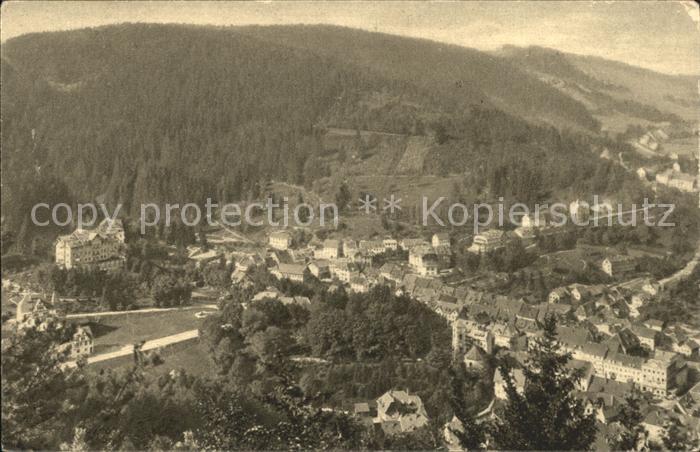 Triberg Schwarzwald Blick vom Kaiserfelsen