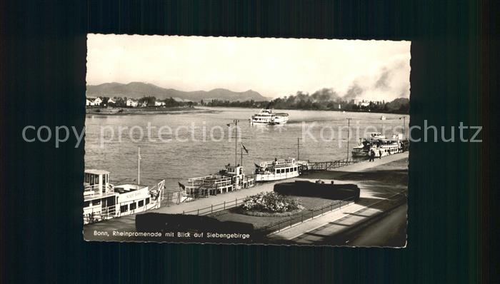 Bonn Rhein Rheinpromenade mit Siebengebirge