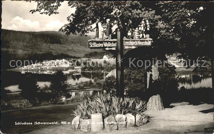 Schluchsee Blick zum Wolfsgrund