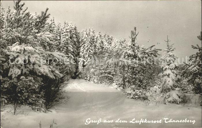 Taennesberg Skigebiet Rodelbahn