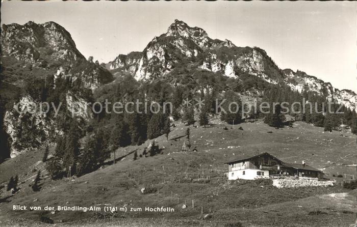 Hochfelln Bergen Blick von Bruendlin-Alm