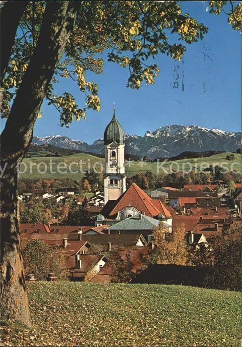 Nesselwang Allgaeu Bayern mit Ammergauer Alpen