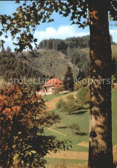 Neuenweg Gasthaus Haldenhof