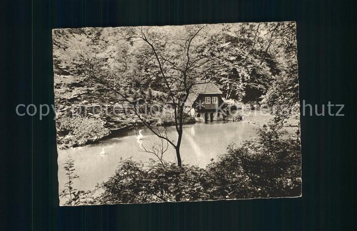 Muelheim Ruhr Witthausbusch