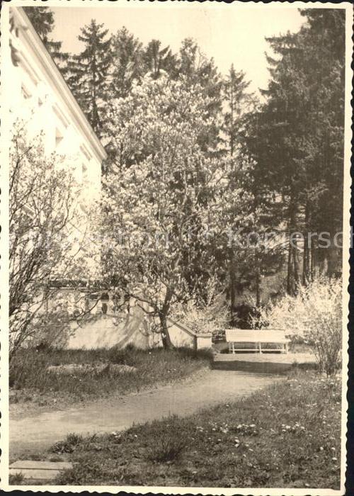Feldberg Taunus Hullberbusch