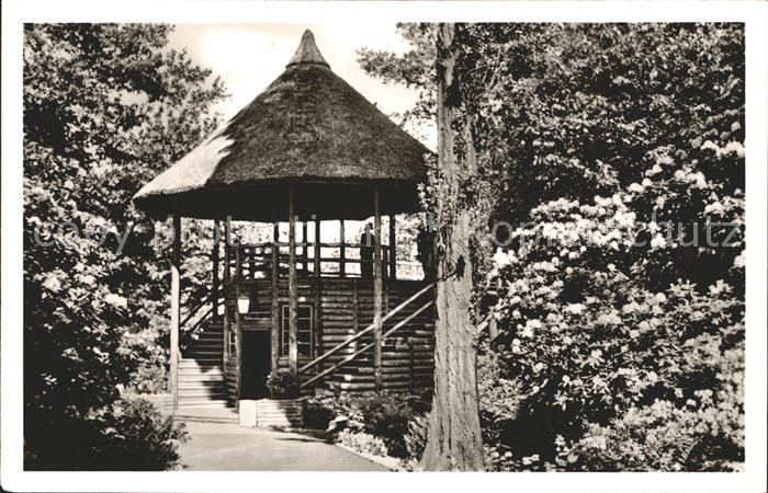 Essen Ruhr Brueckenpilz