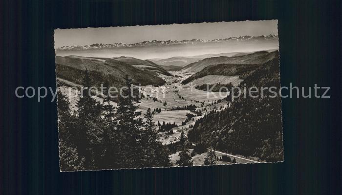 Feldberg Schwarzwald Blick zu den Schweizer Alpen