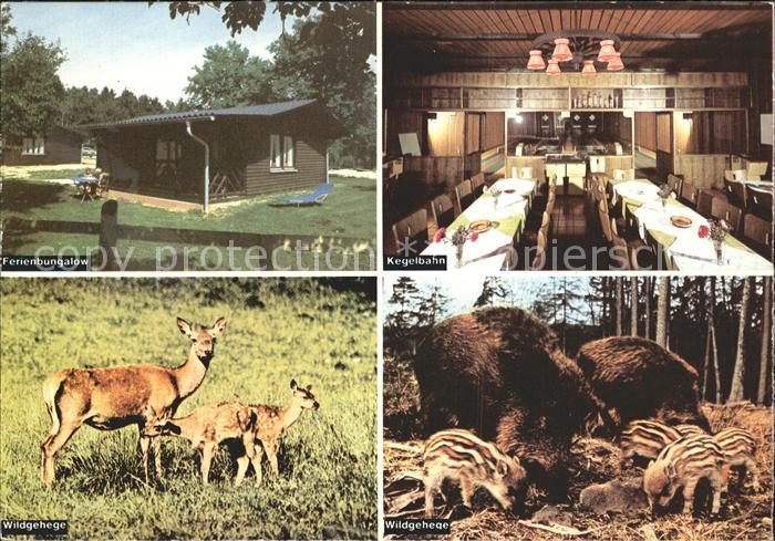 Kreuth Oberpfalz Gut Matheshof