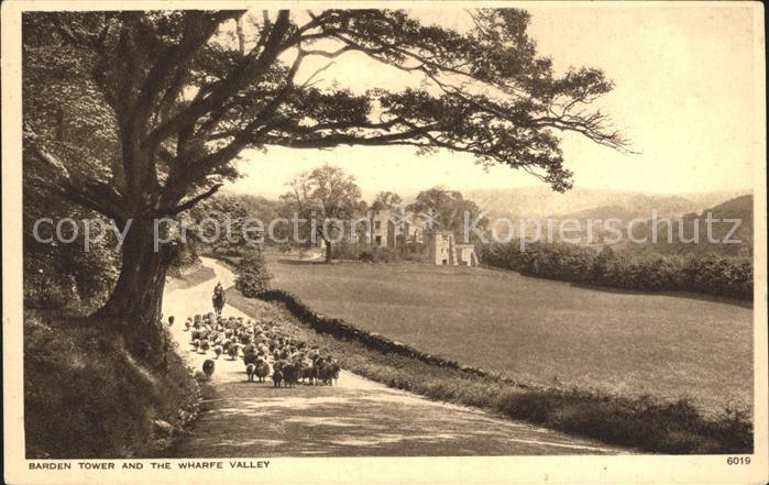 Schafe Hirte Barden Tower Wharfe Valley