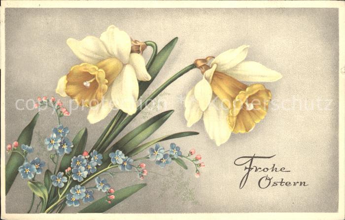 Ostern Easter Paques Narzissen Vergissmeinnicht Litho