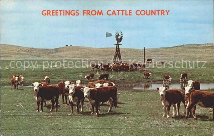 Kuehe Cattle Country Windmill