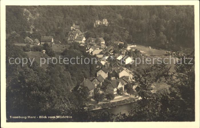 Treseburg Harz Blick vom Wildstein