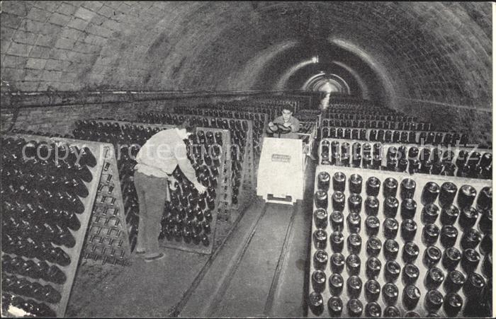 Cervello Rondel Cava con pupitres Raymat