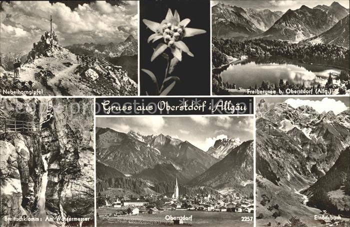 Oberstdorf Nebelhorngipfel Freibergsee Einoedsbach Breitachklamm Wasserfall
