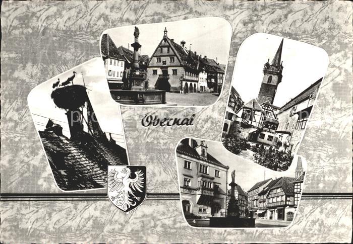 Obernai Bas Rhin Nid Cigognes Halle Ble Kappelturm Fontaine Sainte Odile