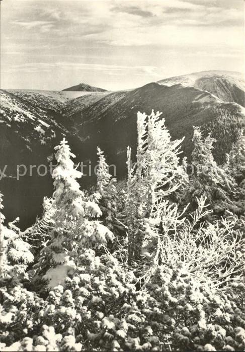 Stredni Krkonose Weisse Elbe