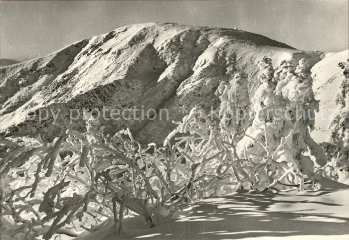 Stredni Krkonose Berg Kotel Misecky