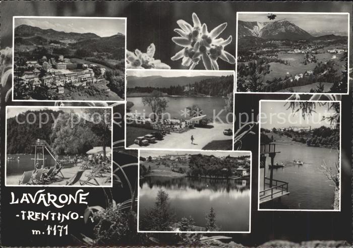 Lavarone Blume Waldbad