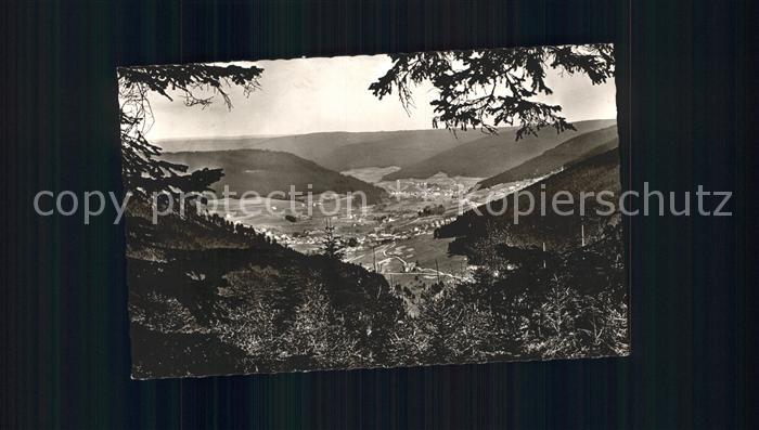 Kniebis Freudenstadt Blick vom Prof Endriss Weg ins Murgtal