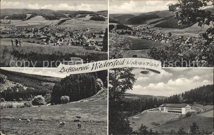 Niedersfeld Panorama Viehweide Kurhaus