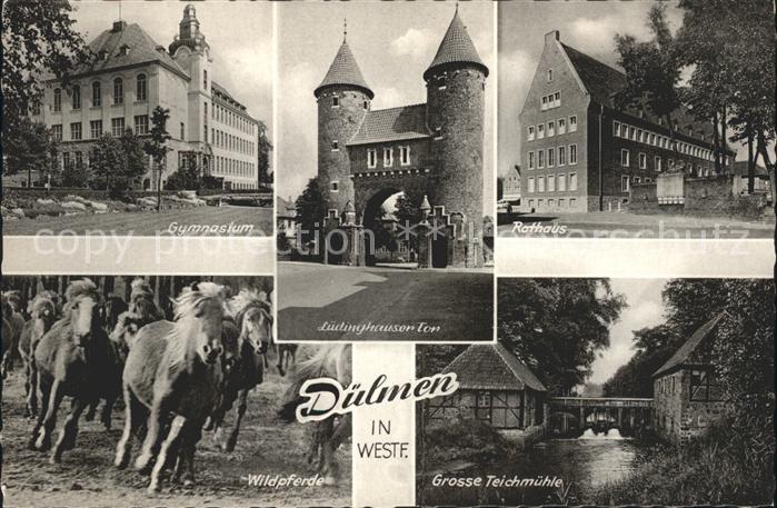Duelmen Gymnasium Ludwigshauser Tor Rathaus Wildpferde Grosse Teichmuehle