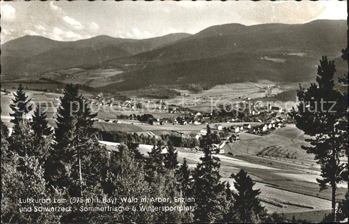 Lam Oberpfalz Arber Enzian und Schwarzeck