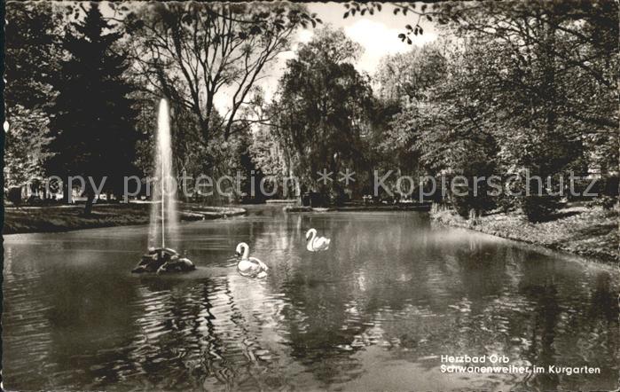 Bad Orb Schwanenweiher im Kurgarten Fontaene